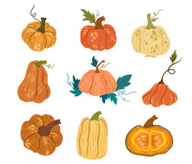 Pumpkins set. Pumpkin shapes with leaves, half with seeds and slices. Autumn, fall, thanksgiving and halloween decoration. Hand draw vector cartoon illustration