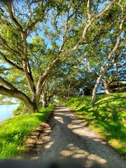 Fototapeta premium Trail next to the lake