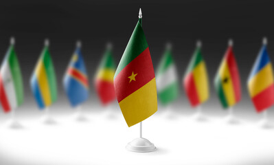 The national flag of the Cameroon on the background of flags of other countries