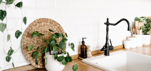 View on white simple modern kitchen in scandinavian style, kitchen details, houseplants in...