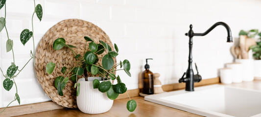 View on white simple modern kitchen in scandinavian style, kitchen details, houseplants in interior, wooden table, white ceramic brick wall background © laniko
