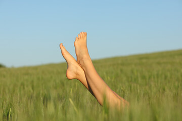 Woman feet relaxed in a wheat field