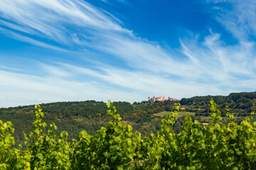 Fototapeta na wymiar View of Gottweig Abbey from vineyards, Lower Austria