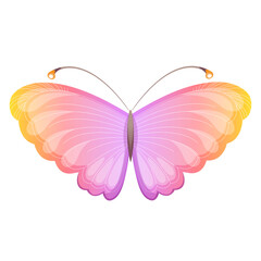Bright magic colorful butterfly. Vector illustration.