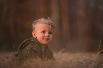Autumn portrait of happy little boy in knitted sweater sitting and playing in dry grass in nature.