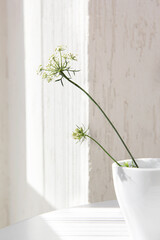 White ceramic vase with graceful flower