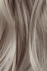 Gray curly hair texture closeup. Light gray hair background.