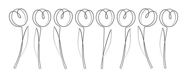 Set of Tulips Line Art