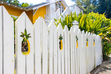 Pineapple fence