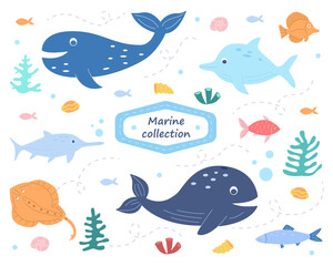 Ocean life and the underwater world. Marine collection. Whale, stingray, shark, dolphin, fish, corals, algae, shells. Vector illustration