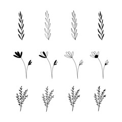 Floral elements and flowers, twigs and leaves set. Vector silhouettes of flowers.