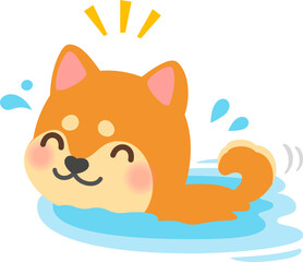 犬かきで泳ぐシバイヌ