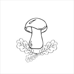 Boletus mushroom in the grass, contour illustration, coloring page, handmade.