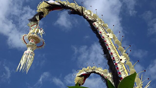 Bamboo pole decorated with coconut leafs and offerings at the end (Penjor), put for the main balinese ceremonies