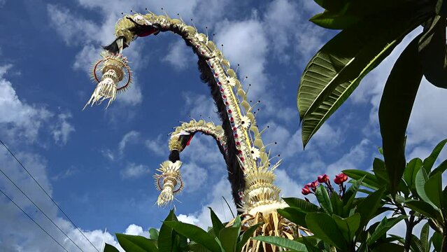 Bamboo pole decorated with coconut leafs and offerings at the end (Penjor), put for the main balinese ceremonies
