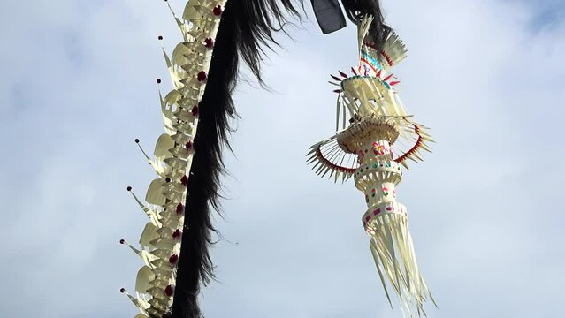 Bamboo pole decorated with coconut leafs and offerings at the end (Penjor), put for the main balinese ceremonies