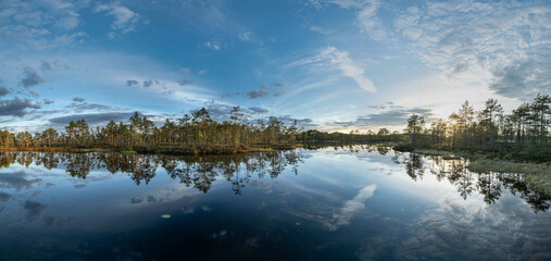 reflection in the surface of the lake in summer