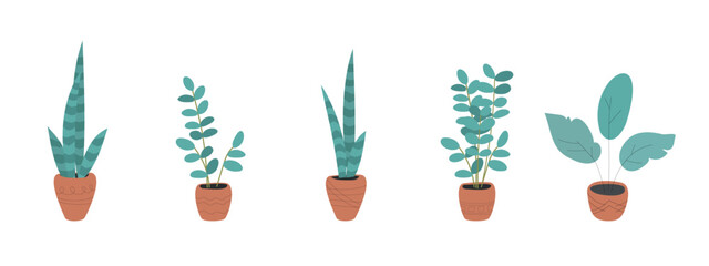 Set of green plants growing in ceramic pots. Urban jungle decor, hygge style. Hand-drawn vector illustration in pastel colours isolated on white. 