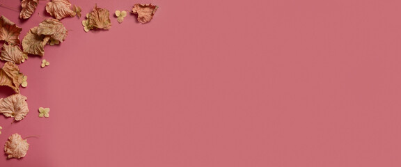 Golden fall autumn leaves of different shapes on pink background. Autumn concept, fall background. Minimal floral design, autumn leaf frame with copy space. Autumn creative composition. Banner