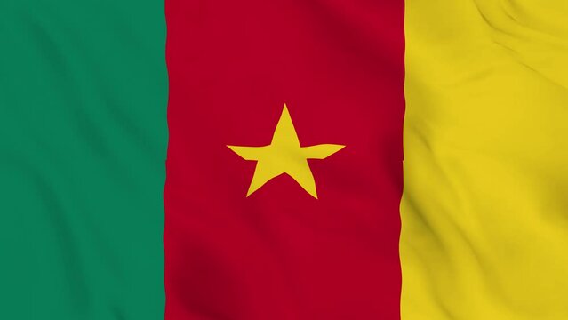 realistic Republic of Cameroon waving flag. smooth 4k video seemless loop 