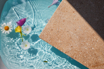 Product promotion Beauty cosmetic showcase. Travertine stone display with flowers in water.