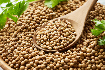 dry coriander seed spice and leaf or leaves in wood plate and spoon on wooden table background                           