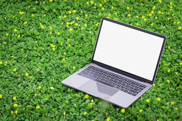 laptop with empty space on meadow flower