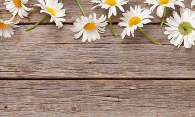 Chamomile garden flowers on wooden background