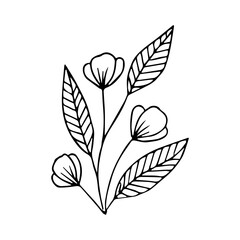 hand drawn doodle plant element for floral design concept