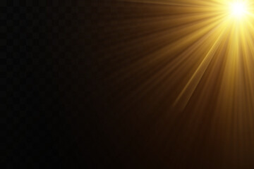 Shining golden stars isolated on black background. Effects, glare, lines, glitter, explosion, golden light. Vector illustration