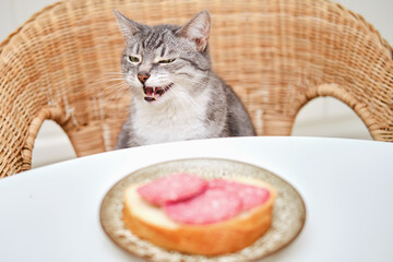 A sly cat sits at a table near a sausage sandwich in a home kitchen
