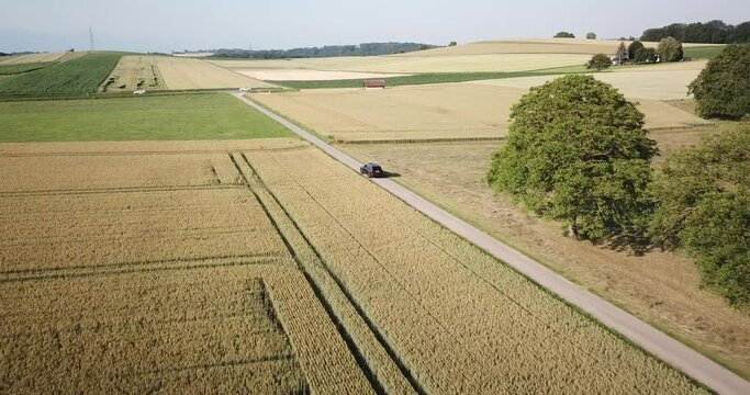 A volvo car drives on a small road between large wheat fields in the countryside, Vaud, Switzerland, high altitude drone view