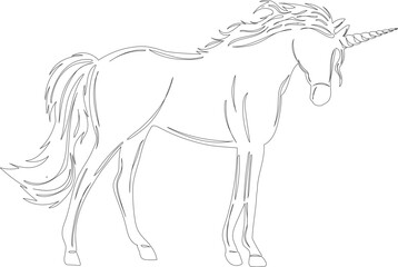 unicorn sketch on white background outline isolated