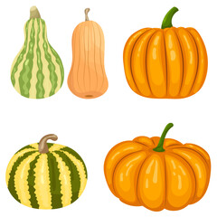 pumpkins set in flat style, isolated, vector