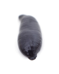 One big black leech.