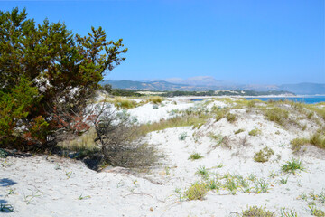 Splendid Sardinian white sand beach with dunes