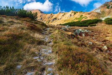 Jamnicka dolina valley with mountain ridge above in autumn Western Tatras mountains in Slovakia © honza28683