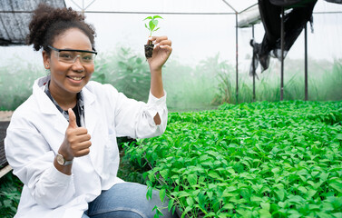African American Plant Genetic Expert researcher holding young Plant for research with other...