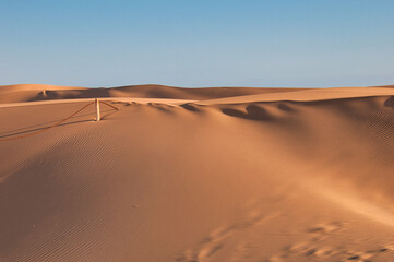 Fototapeta na wymiar Namib Desert dunes, Namibia