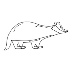 Badger illustration isolated on white background. Cute hand drawn badger. Vector illustration.Doodle style