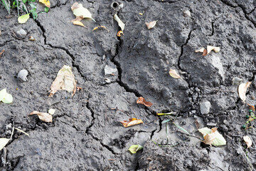 dry cracked land draught in Europe