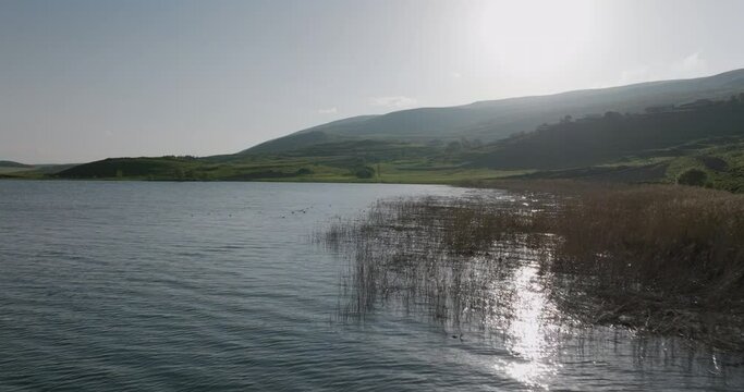 Velvet Scoter flock swimming calmly on the surface of the Tabatskuri Lake.