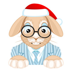 Rabbit symbol of 2023 in a santa claus hat on a white background.