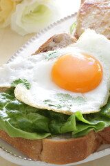 Sunny side up fried egg and coriander leaf open sandwich for gourmet breakfast