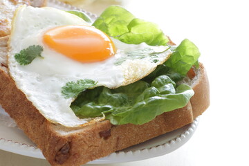 Sunny side up fried egg and coriander leaf open sandwich for gourmet breakfast