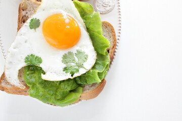 Sunny side up fried egg and coriander leaf open sandwich for gourmet breakfast