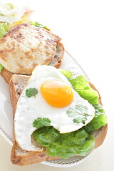 Sunny side up fried egg and coriander leaf open sandwich for gourmet breakfast