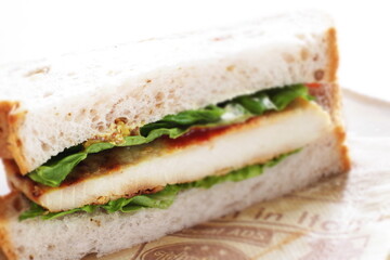 Homemade swordfish fillet and lettuce sandwiches on dish with copy space