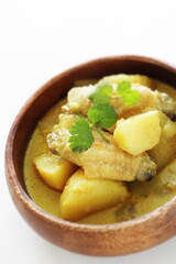 Chinese style chicken wing and potato curry
