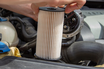 Technician changes car filter, car spare part. Car service concept.